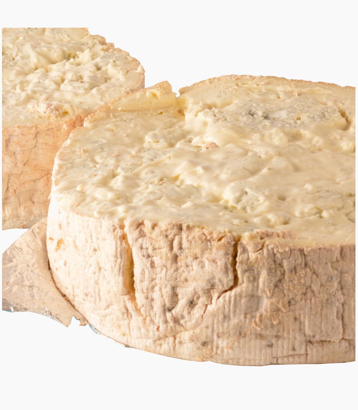 GORGONZOLA (250 GR)