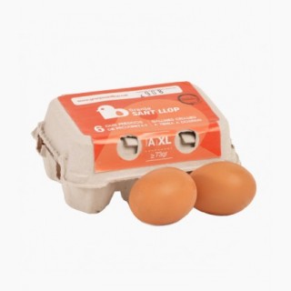 6-ous-xl-n-2-sant-llop